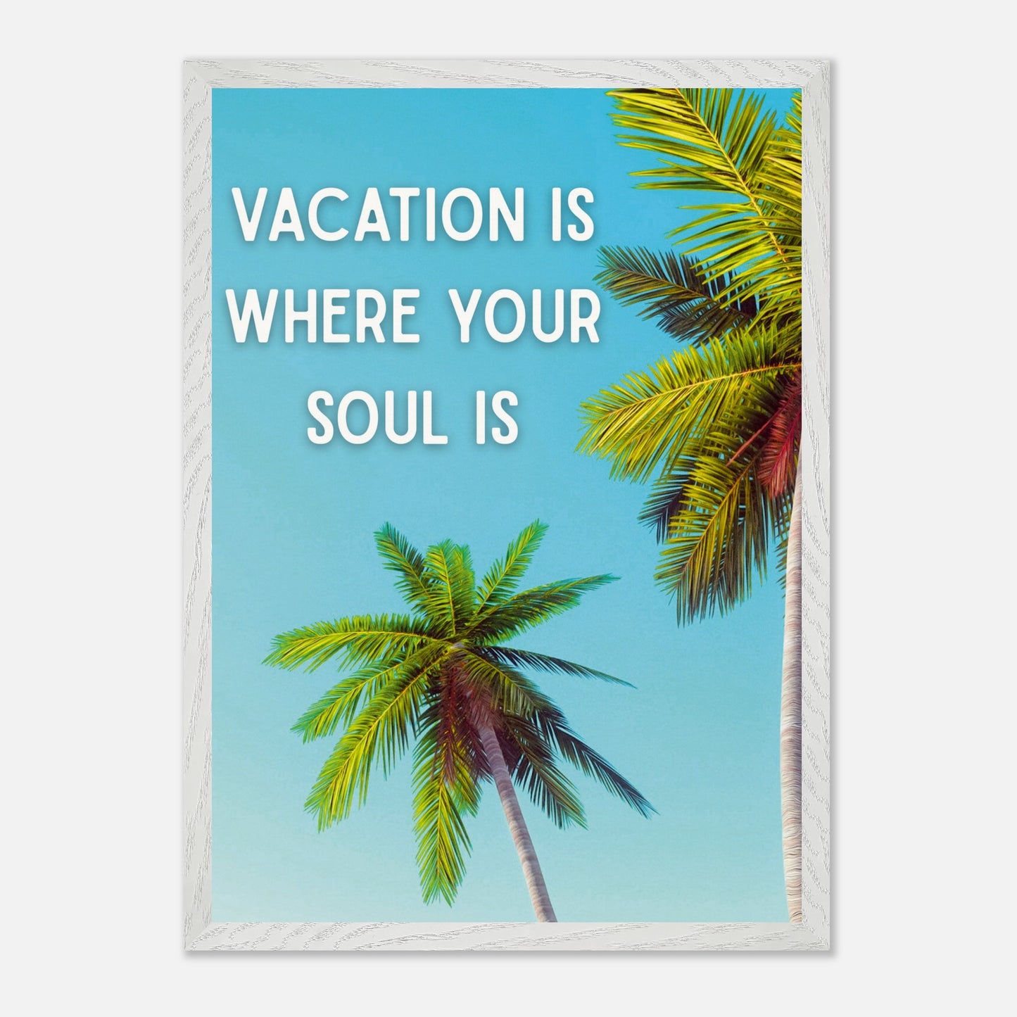 2396a72c-2f9b-44c7-b0a7-f000fa358296