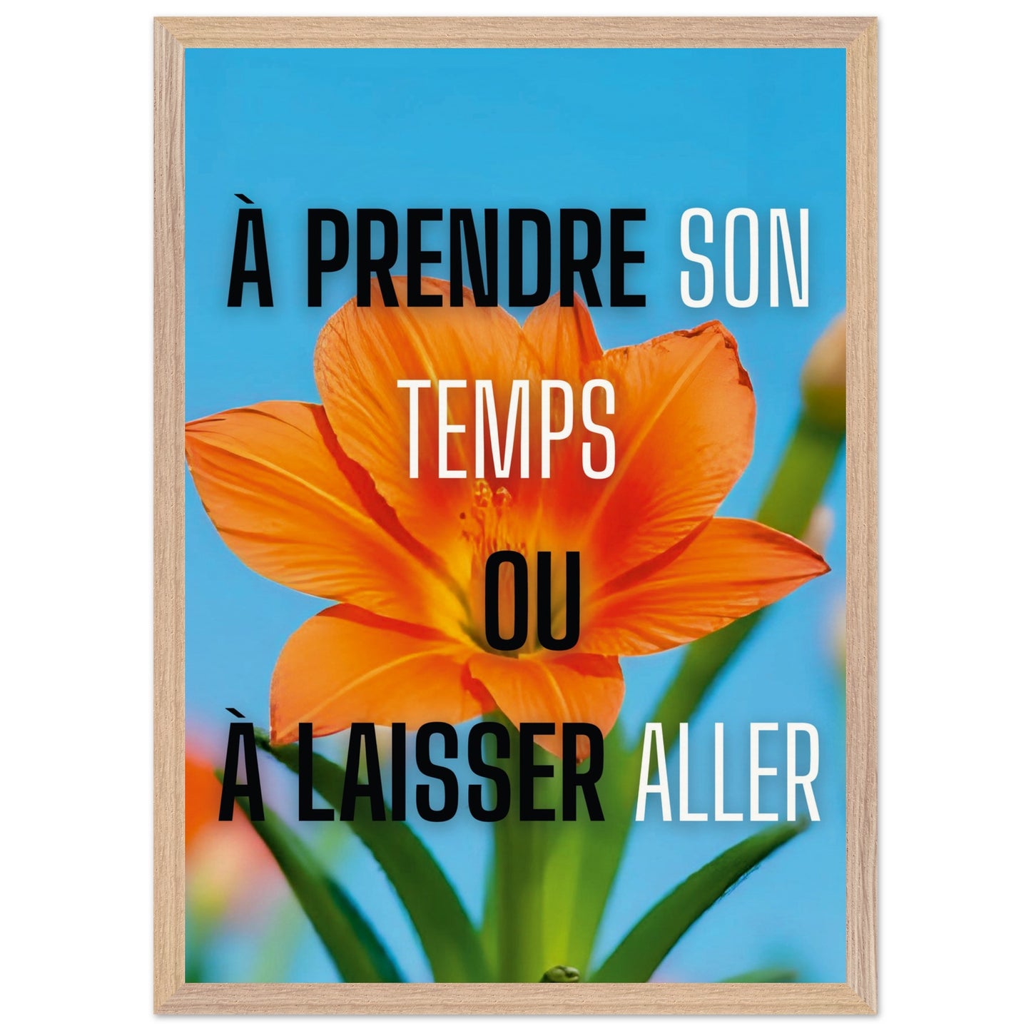 e926903a-a4f4-448d-ba00-283a8fc20ef3